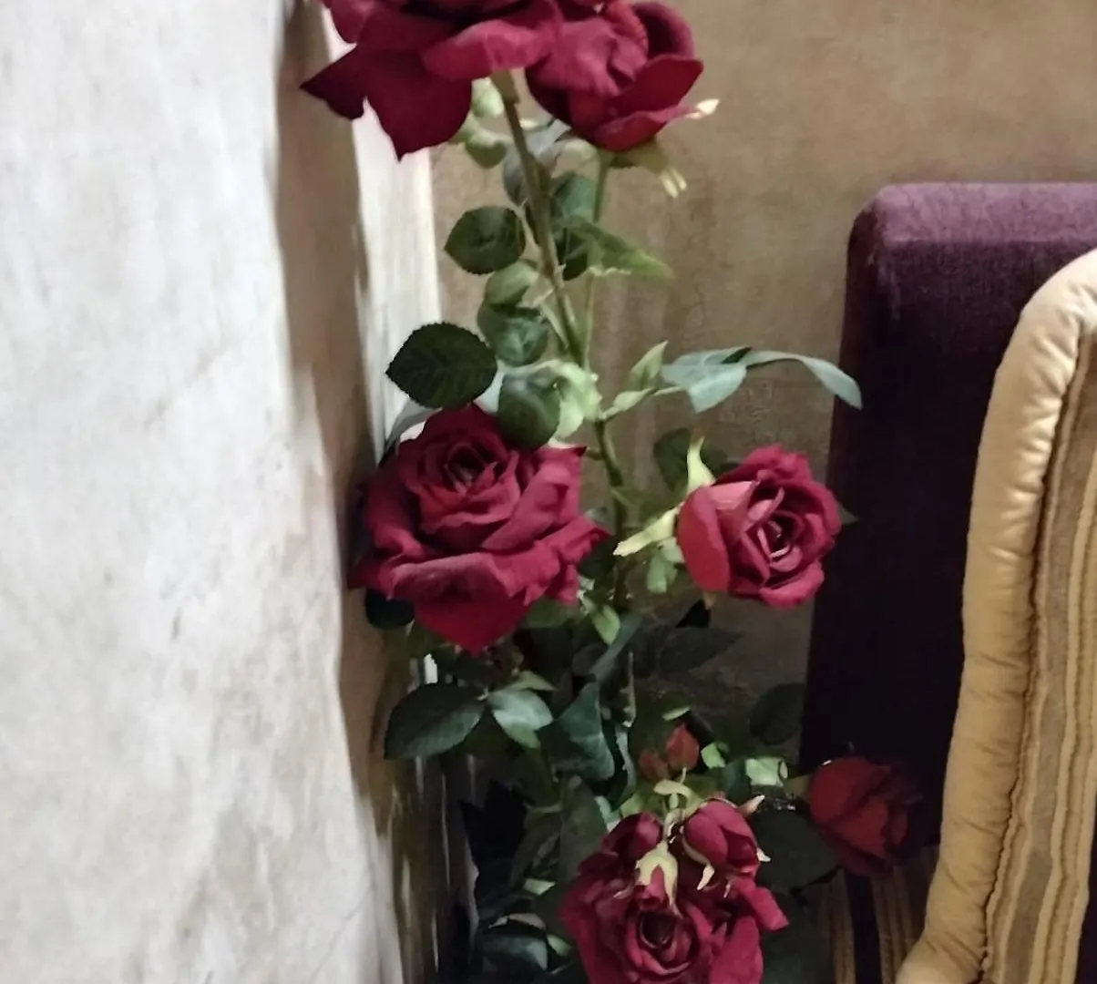 Riad Mille Et Une Nuits Marrakesh